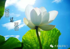 三伏天开启“蒸、煎”模式，您还hold的住吗？让您节能防暑的秘诀，您想知道吗.....