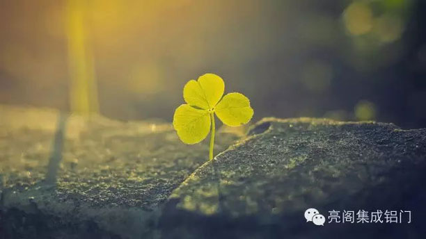 亮阁门窗,亮阁现代新中式之美的魅力2