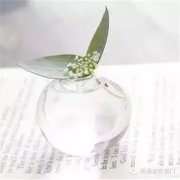 不要急，最好的总会在最不经意时出现