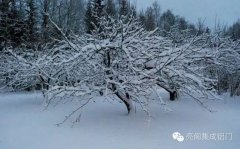 亮阁阳光房