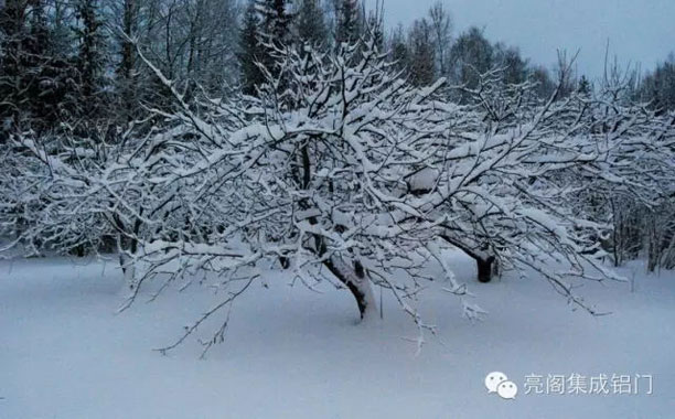 亮阁门窗,亮阁阳光房－－雪景