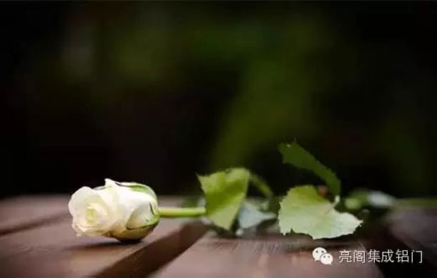 铝门窗厂家,铝门窗十大品牌,铝合金门窗十大品牌--白玫瑰