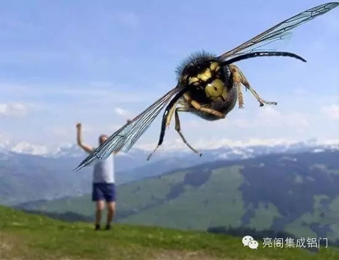 铝门窗厂家,铝合金门窗十大品牌,铝合金门窗代理2