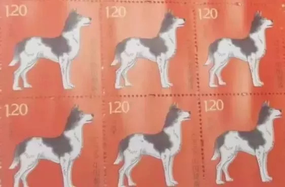 九十九岁的周令钊爷爷，再次执笔设计2018年生肖邮票！
